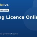 Driving licence online